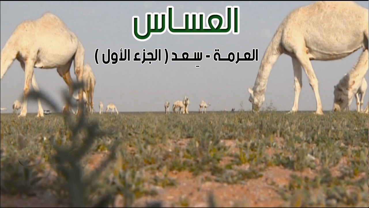 برنامج العساس | العـرمة - سِعــد 23-4-1435هـ ( الجزء الأول )