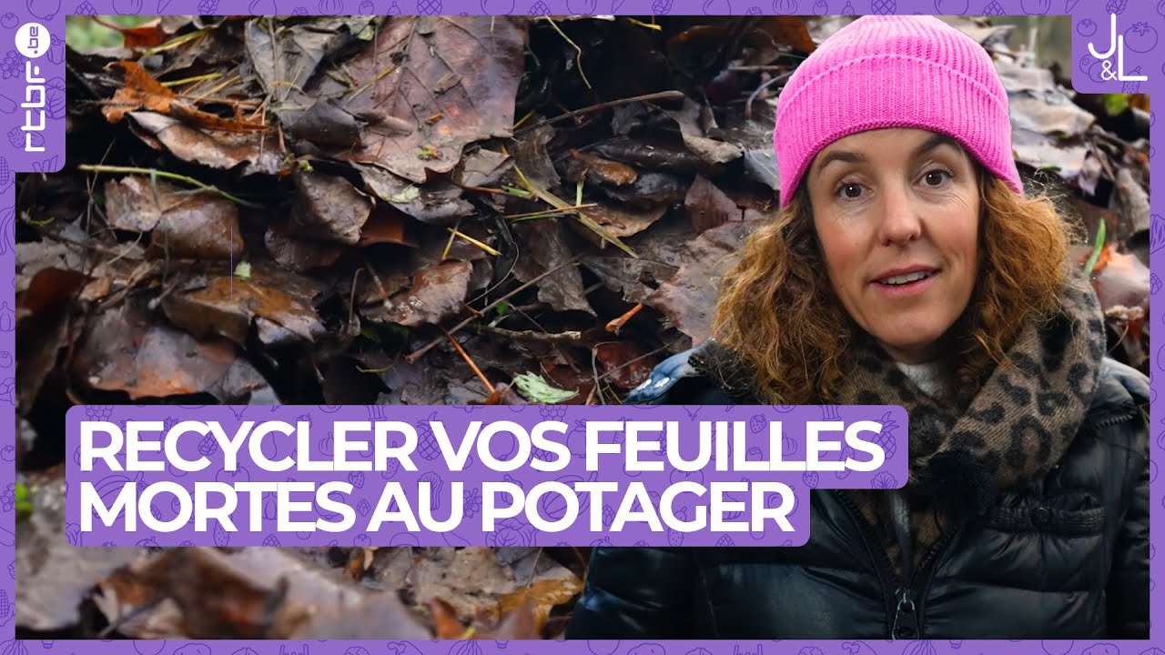 Recycler vos feuilles mortes au potager | Jardins et Loisirs