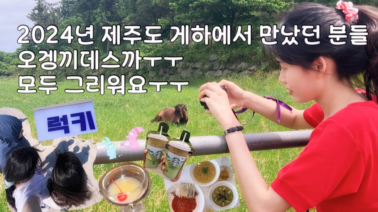 29살에 찍었는데 31살 되어서 올리는, 12년 만의 제주 여행기(사실 말 사진 찍으러 감)