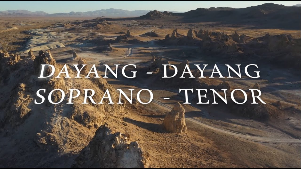 DAYANG DAYANG saxophone soprano  flute instrumental letter notes  + backing track