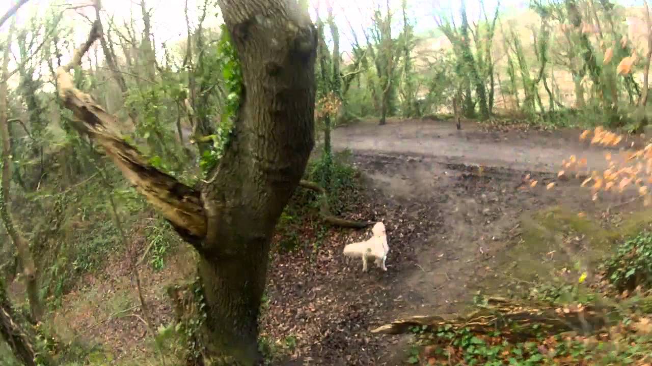 Loki Cam