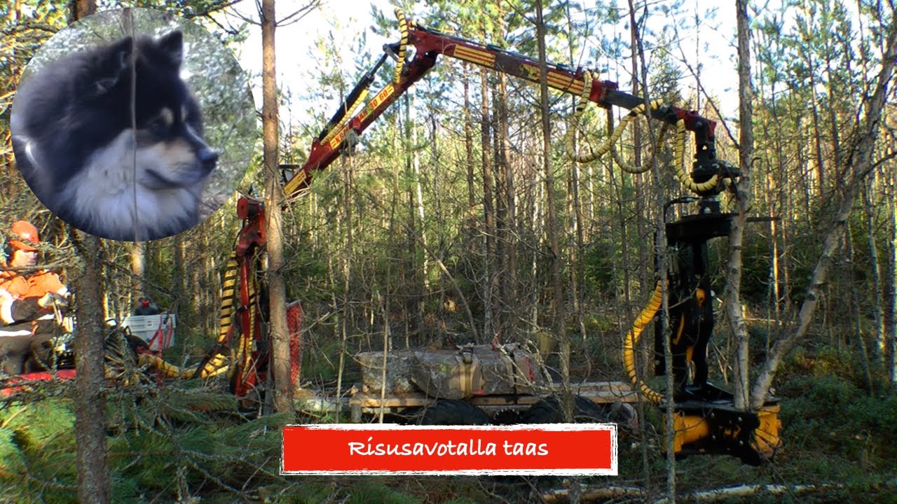 Risusavottaa, TMK 150, Kranman 1750 4WD, Honda trx 500