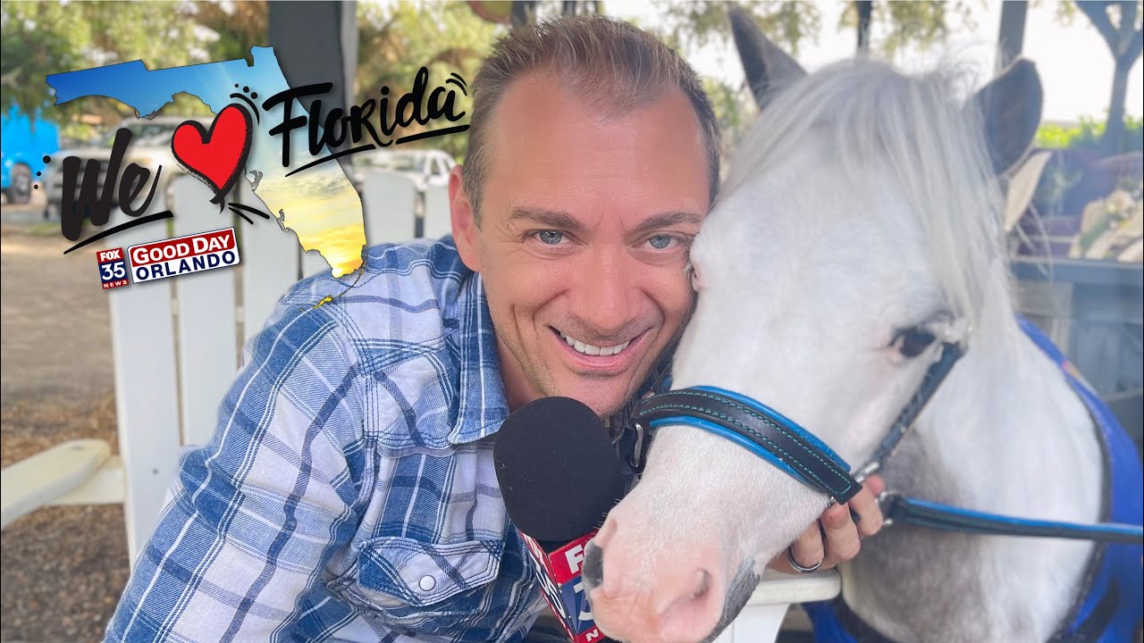 Gentle Carousel Miniature Therapy Horses