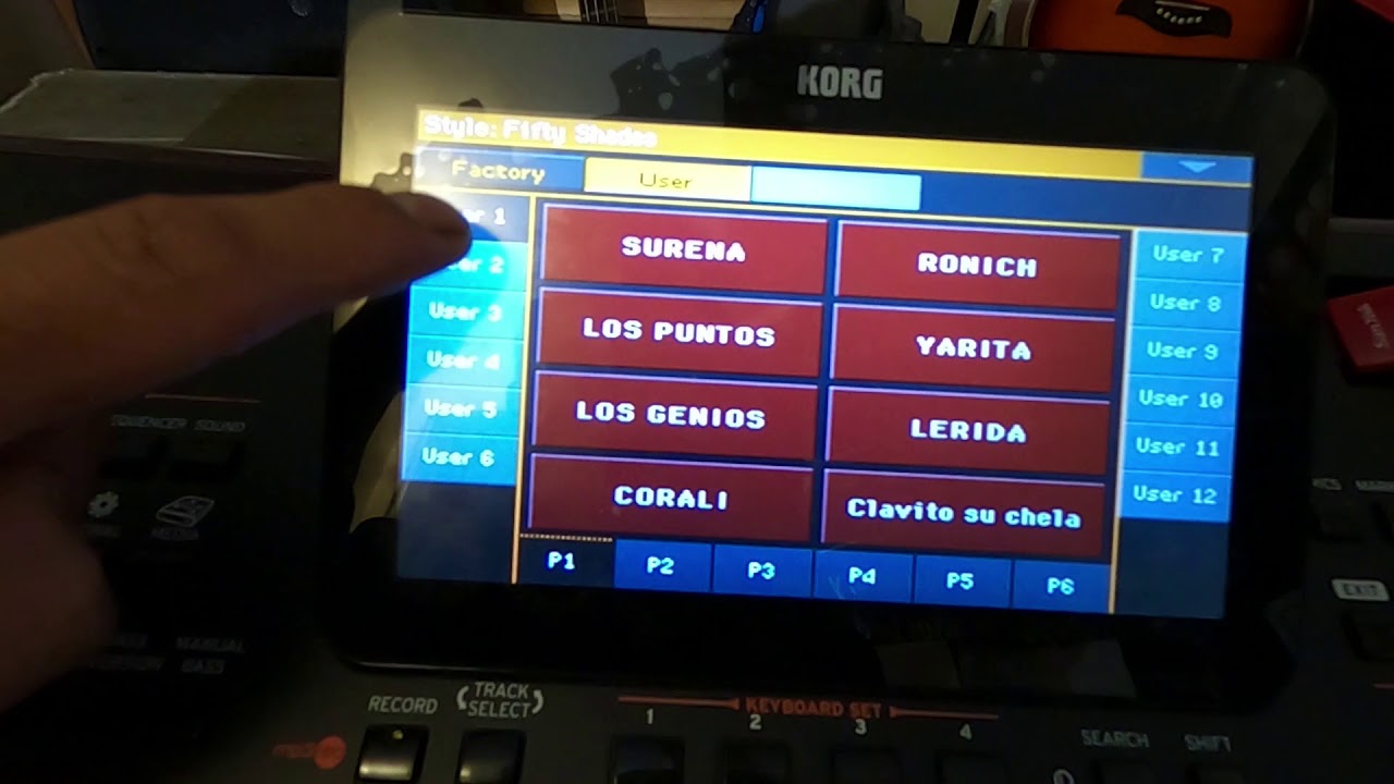 COMO ELIMINAR O RESETEAR  Y INSTALAR  SAMPLES EN KORG PA1000 KORG PA600