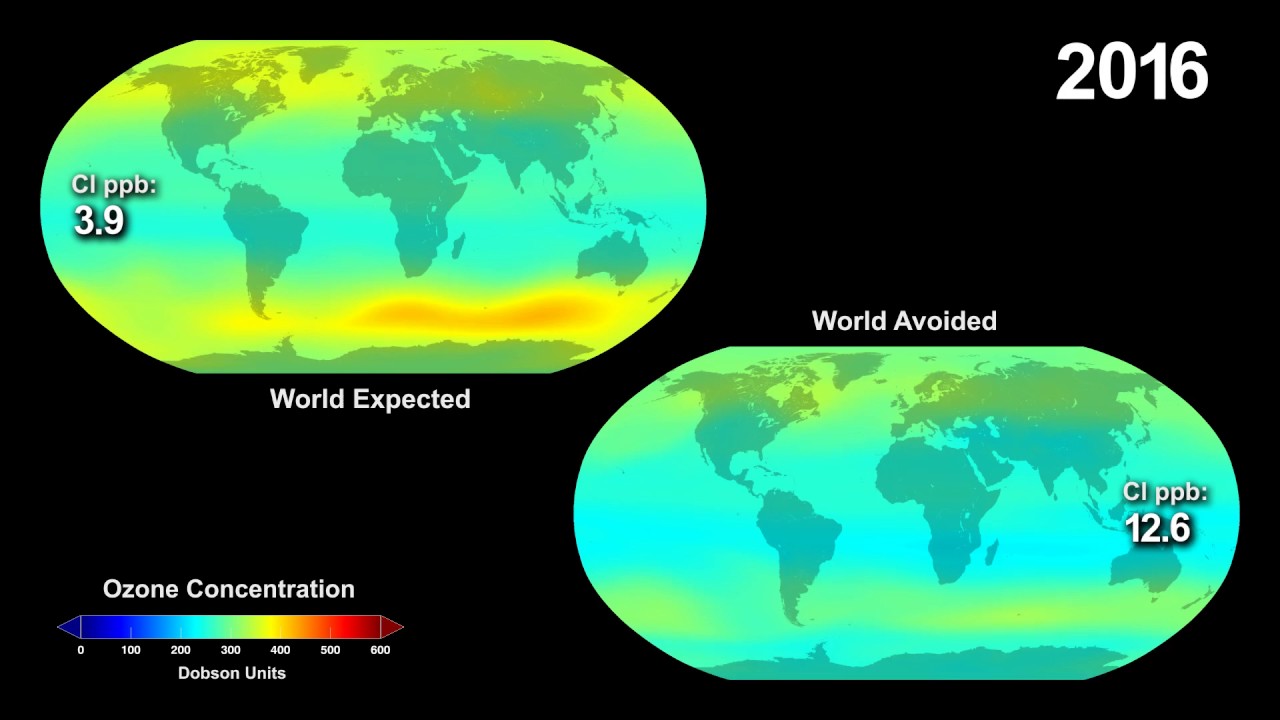What Would have Happened to the Ozone Layer if CFCs had not been Regulated?