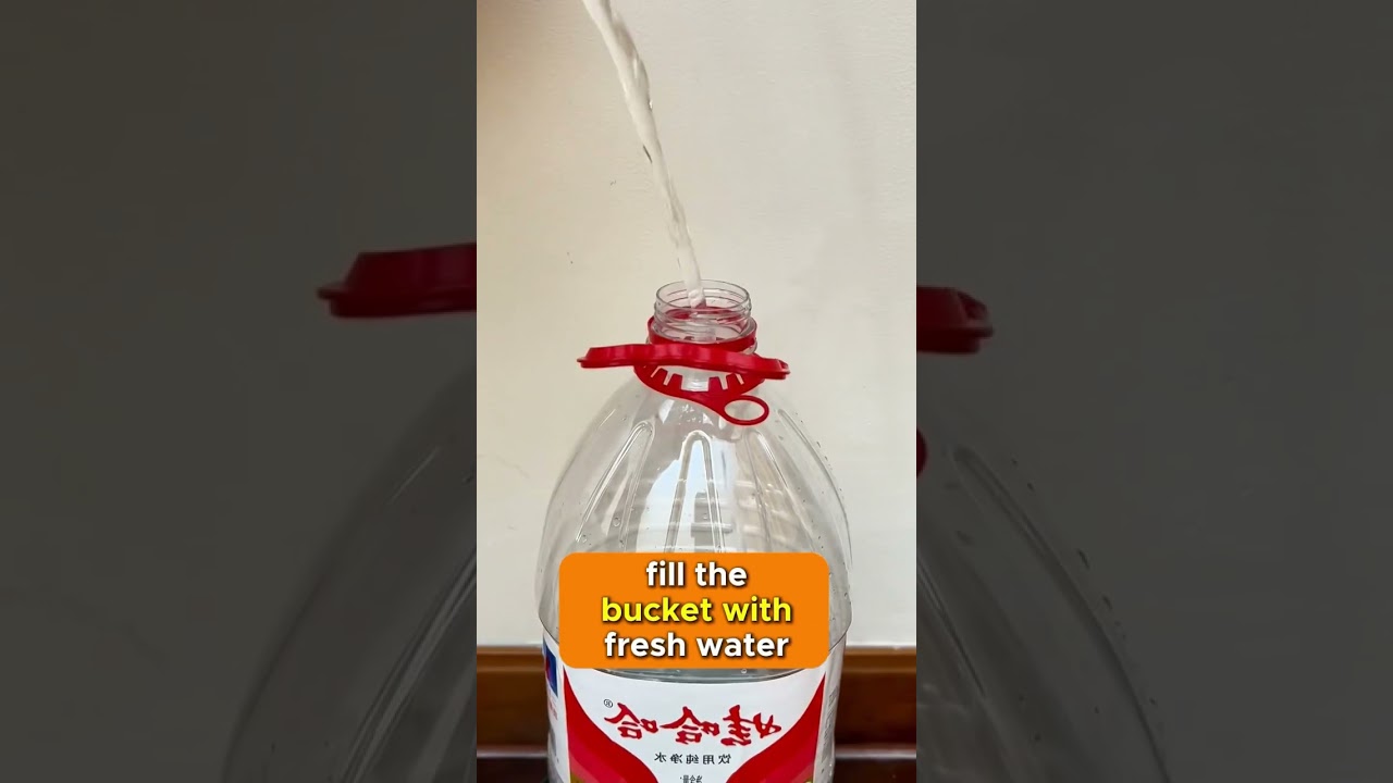 Make your own automatic water feeder for your cat in minutes ! ❤️💕😊#petfeeder #cat #pets