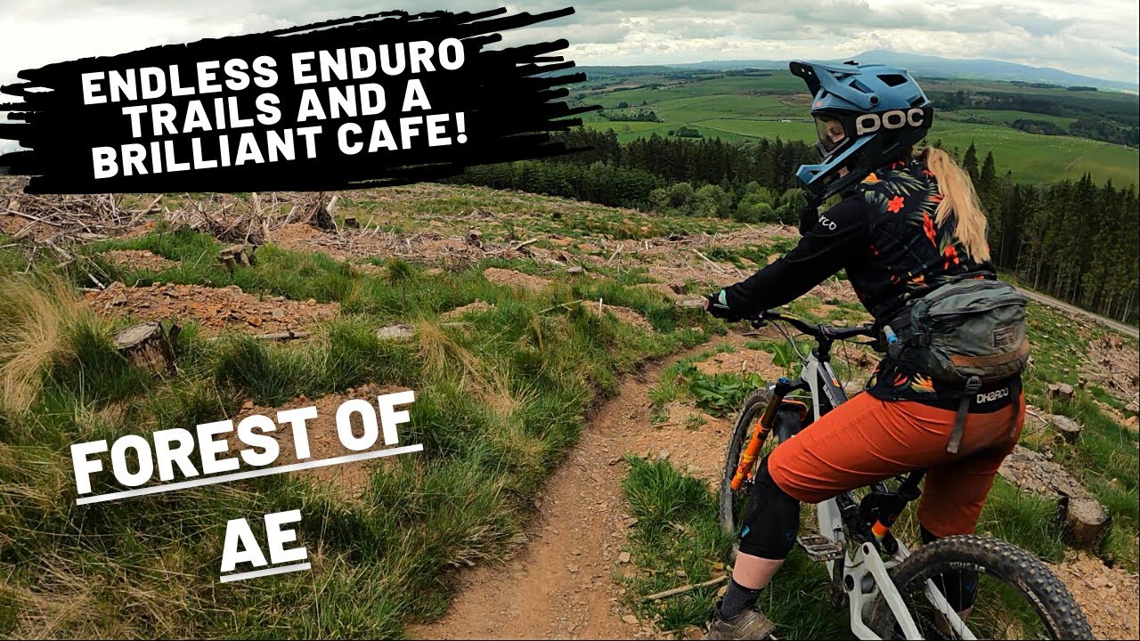 FOREST OF AE | Endless Enduro MTB Trails and a Brilliant Cafe!!
