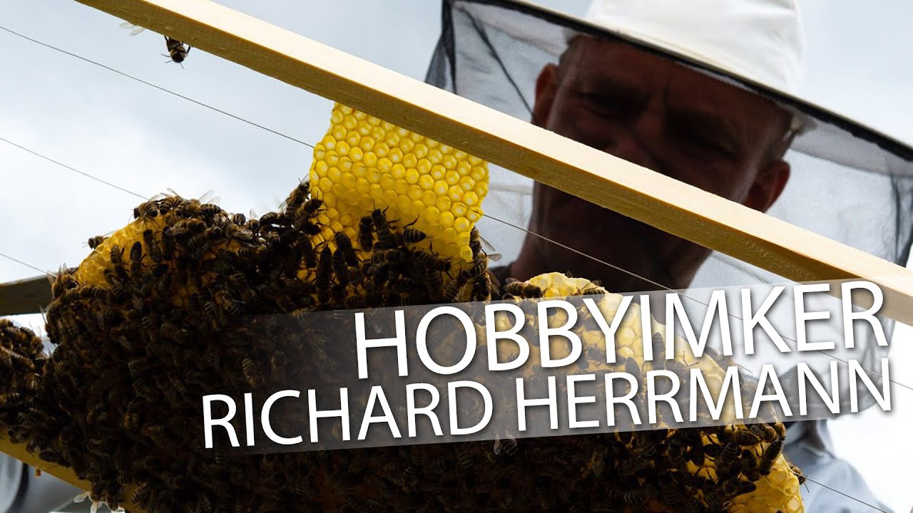 Hobbyimker Richard Herrmann aus Osthofen (medienproduktion 2.0)