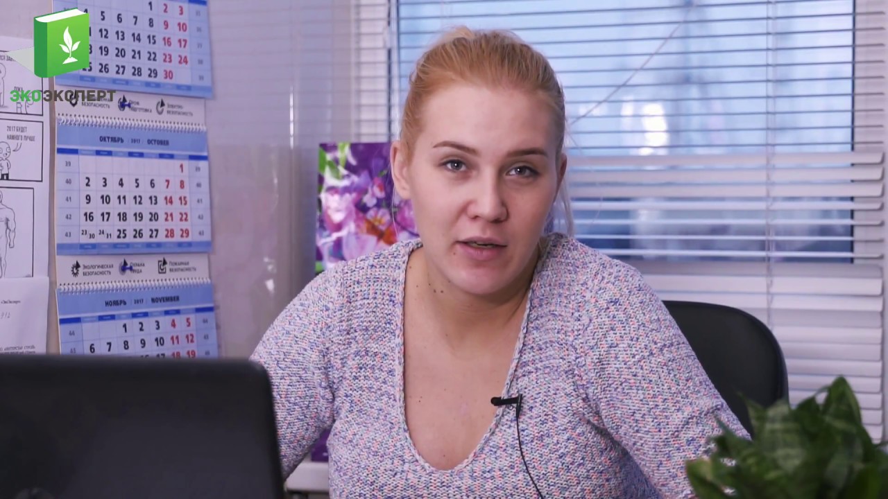 Перечень мероприятий по охране окружающей среды (ПМ ООС)