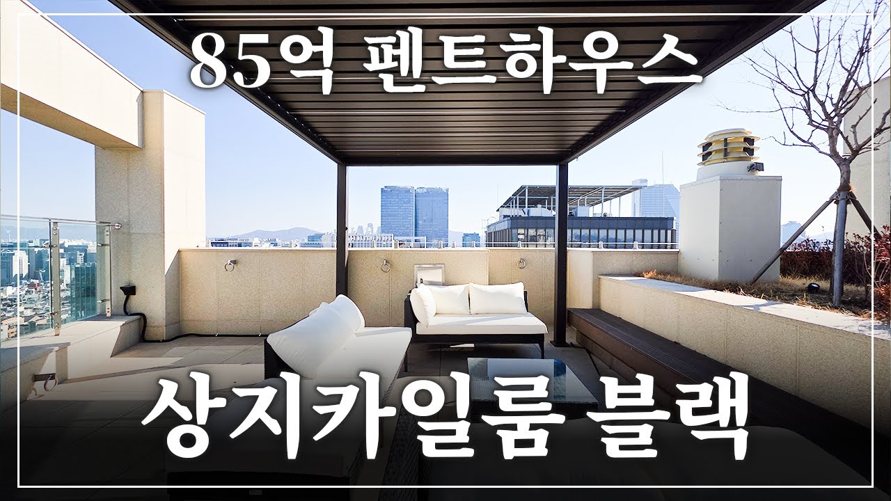 강남 시티뷰 펜트하우스! 상지카일룸 블랙✨ 성공한 CEO들의 프라이빗 아지트?