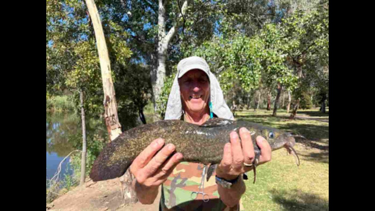 Some fish at last! 