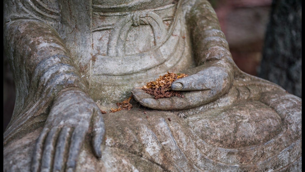 Ryumonji Zen Temple - Zen Online Meditation Livestream