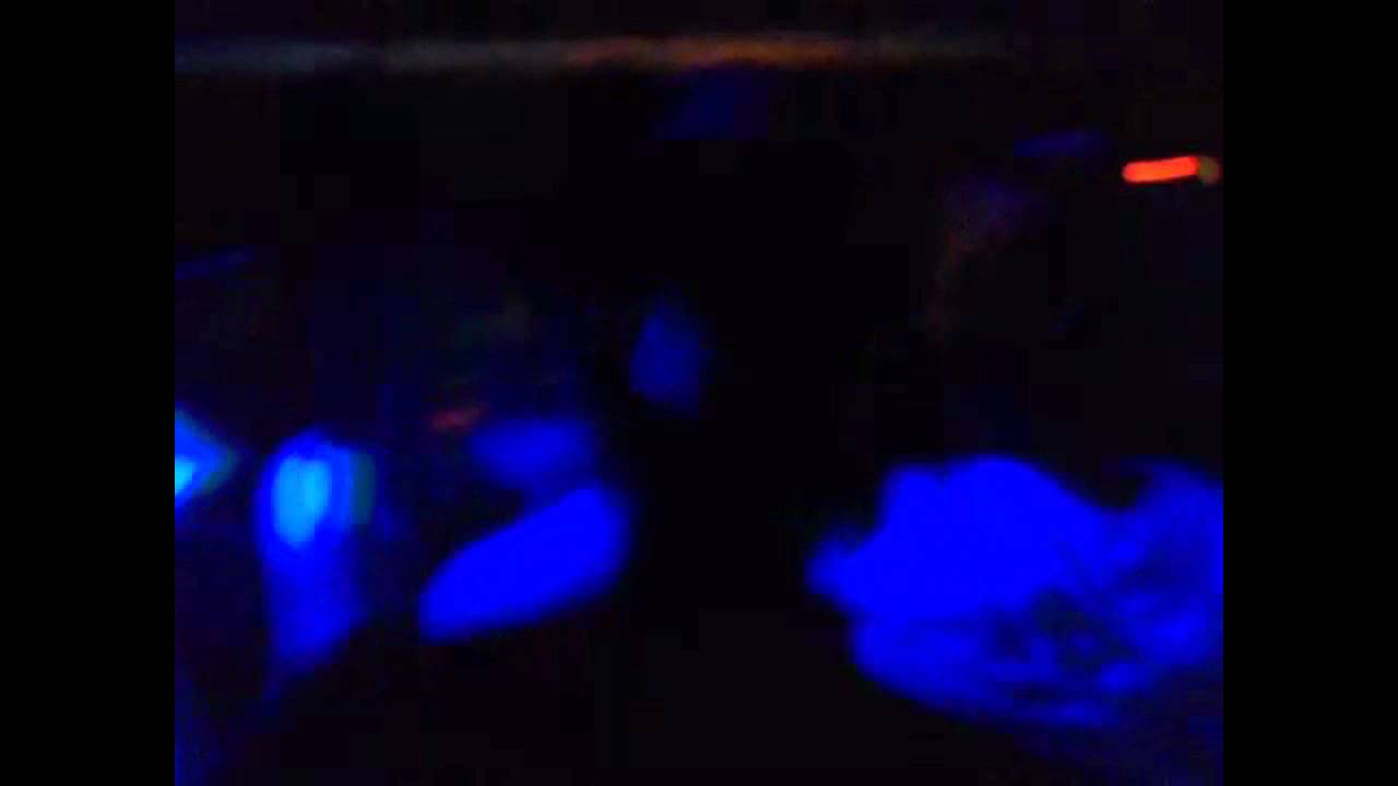 Borderline @ alte Motorenfabrik Erfurt