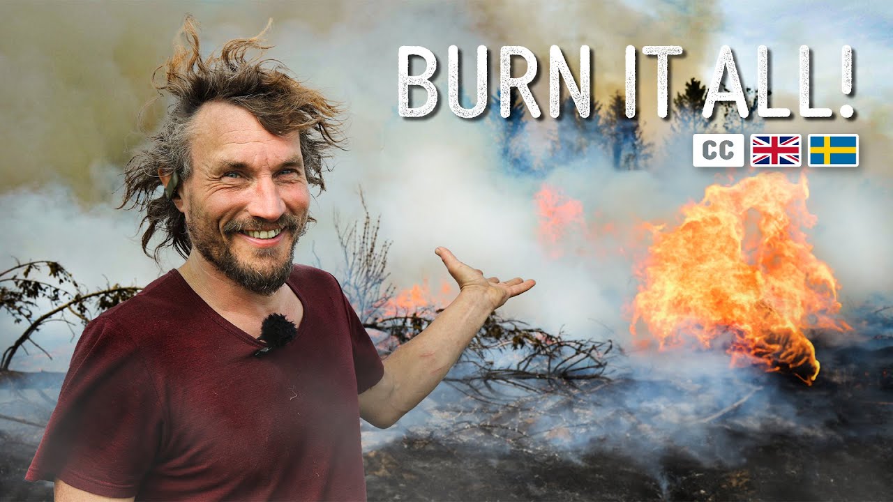 This meadow was dying... then we did THIS!