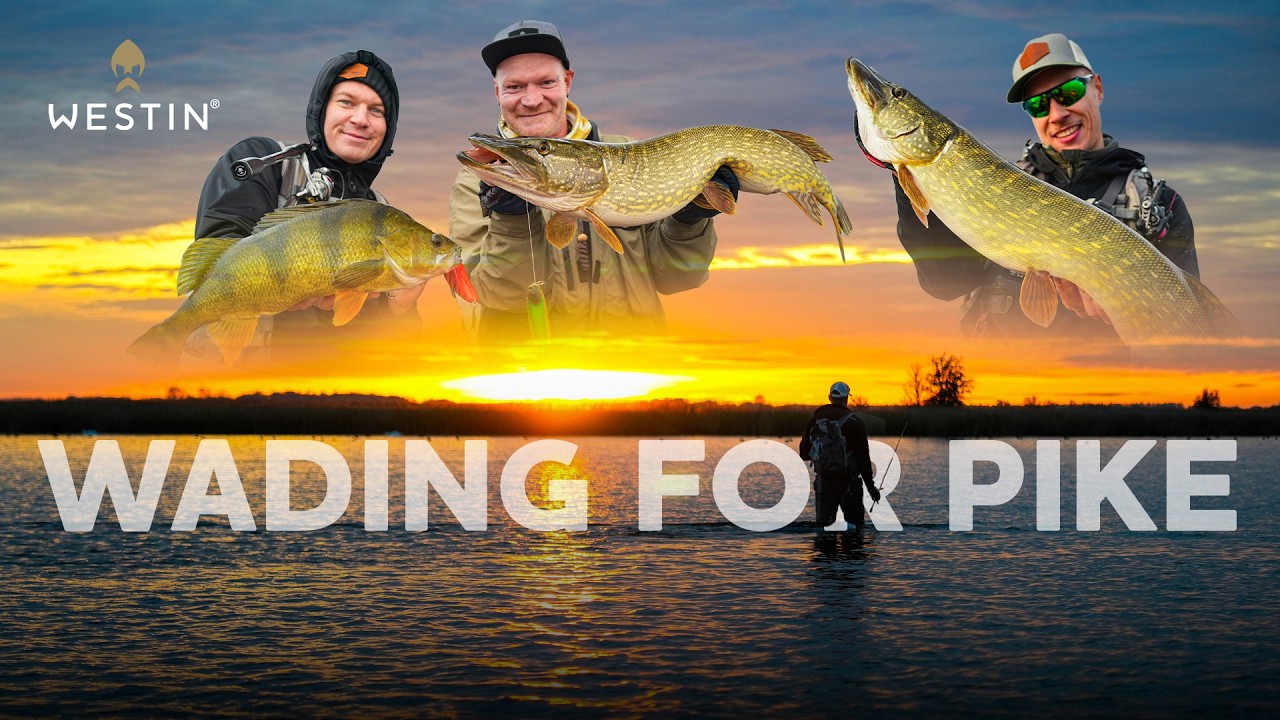 Brackish Pike Fishing Adventure! | Westin Fishing