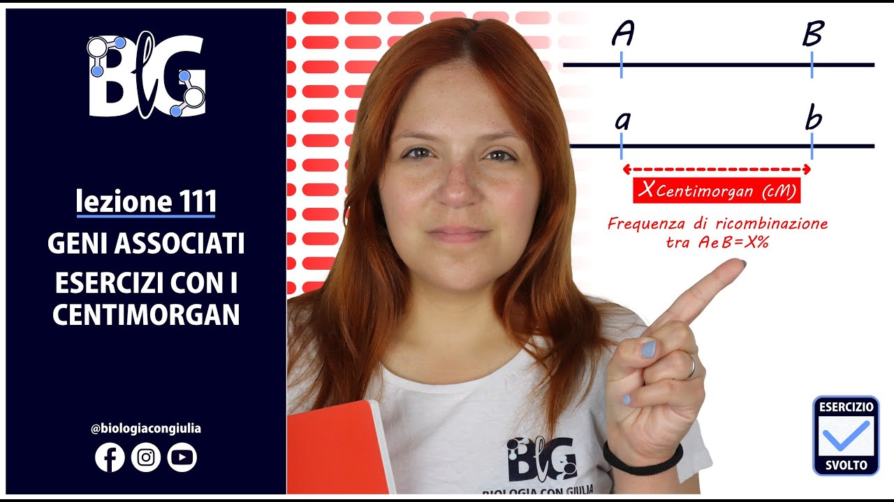 GENI ASSOCIATI - ESERCIZI con i CENTIMORGAN
