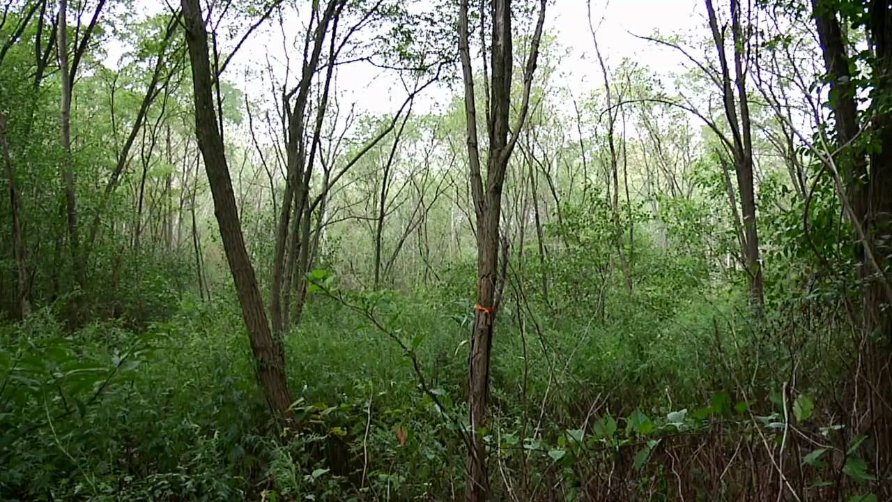 Ridgewood Reservoir in NYC | The City Concealed
