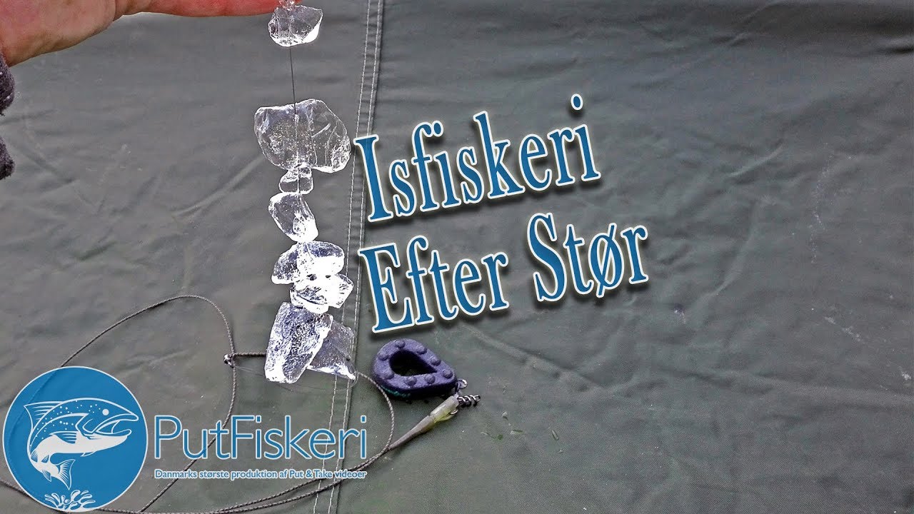 Isfiskeri efter Stør (6 dags tur)