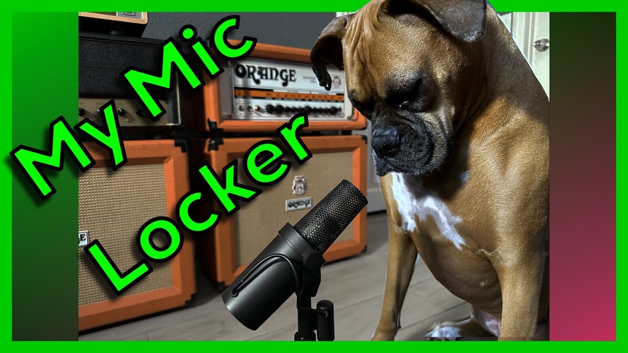 Rocking Out My Microphone Collection