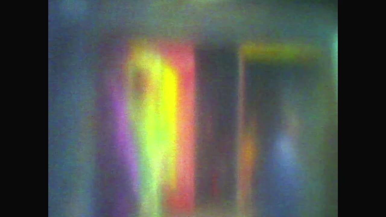 pupa - hammer / felt