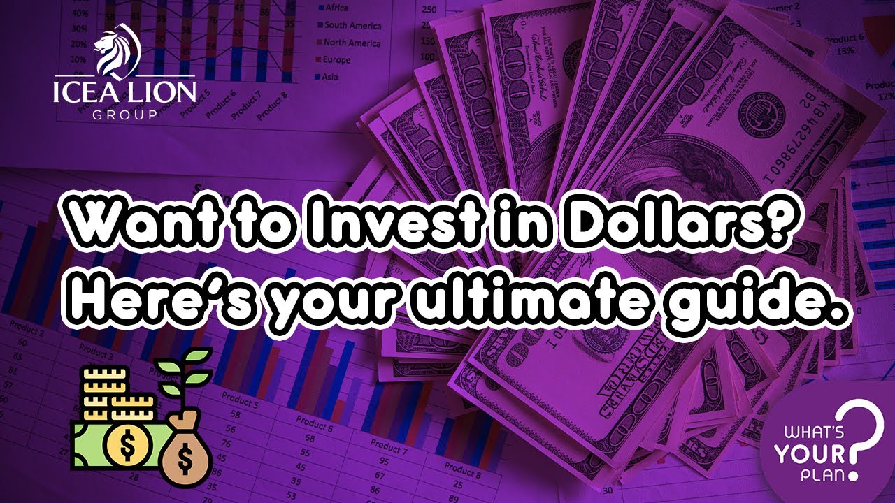 Want to Invest in Dollars? Here's Your Ultimate Guide!