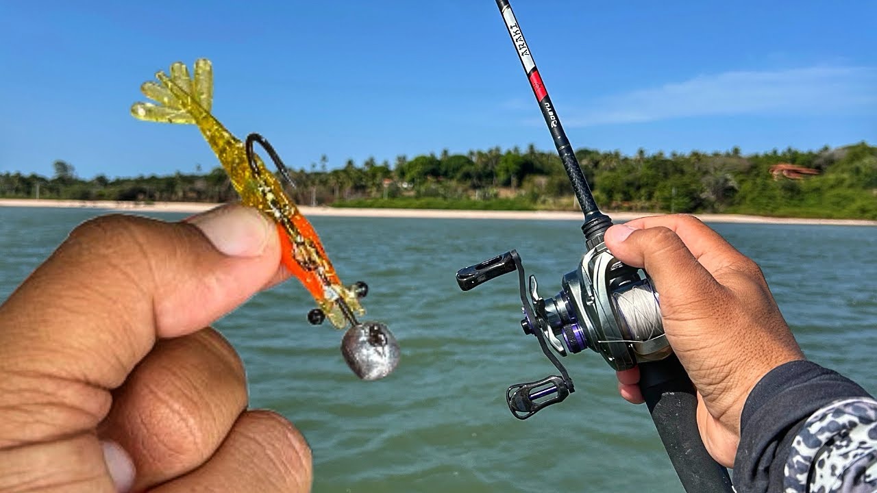 NAVEGAMOS 3 HORAS PARA PESCAR NOS MELHORES BRAÇOS DE MANGUE! MUITOS ROBALOS E CORVINAS!