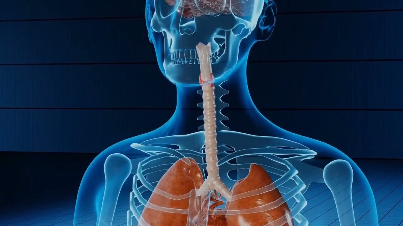 Travail en hauteur et action d'urgence en cas de chute