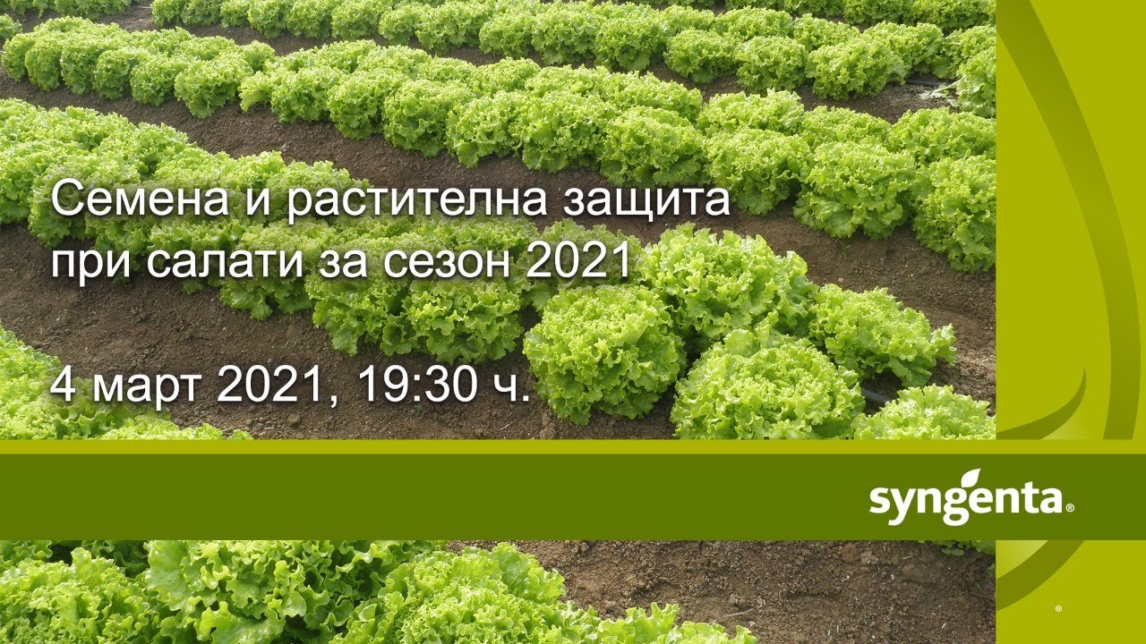 Семена и растителна защита при салати: Уебинар