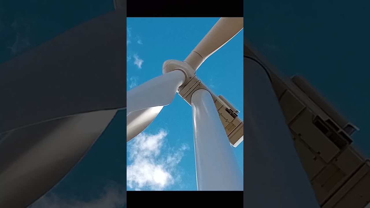 2025 2026
