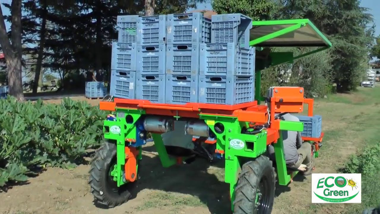 Ecogreenitalia Multis   Pannelli Solari Agevolatrice Ecologica