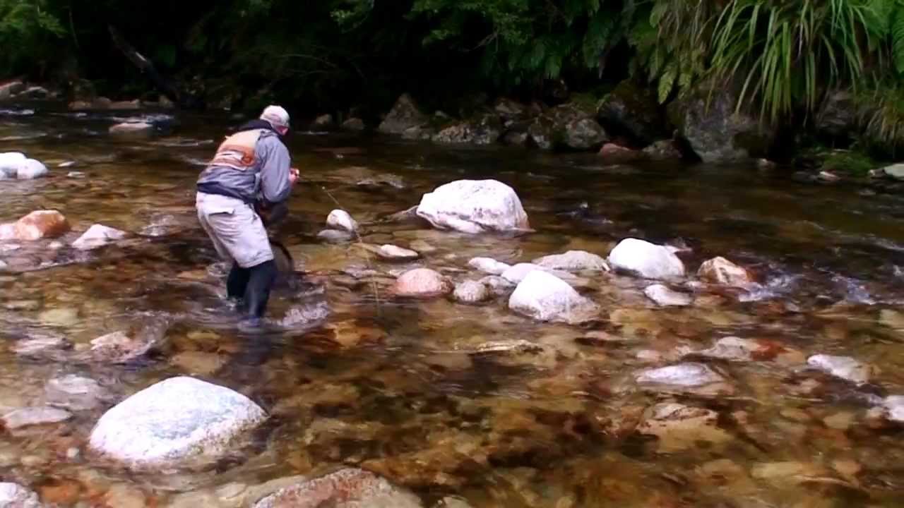 Big Browns in high water, Fly fishing South Island NZ