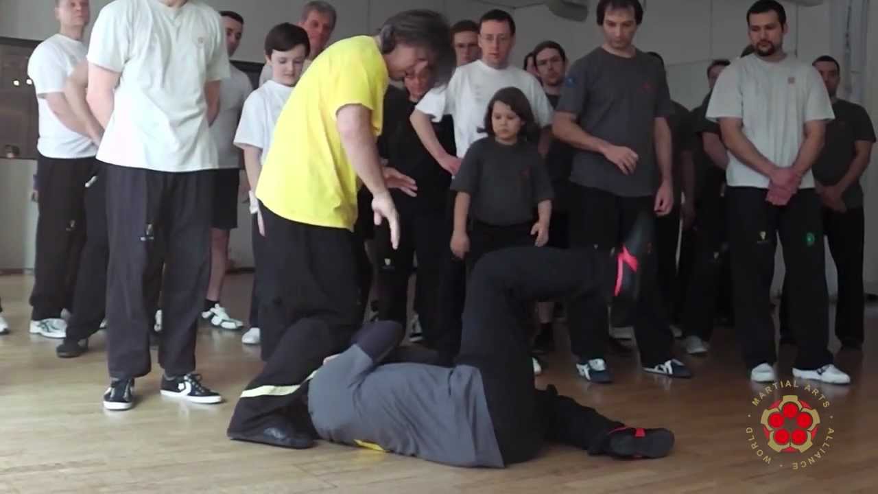 3-Day Intensive Camp with Grandmaster Dai-Sifu Reimers and Sifu Henry Müller