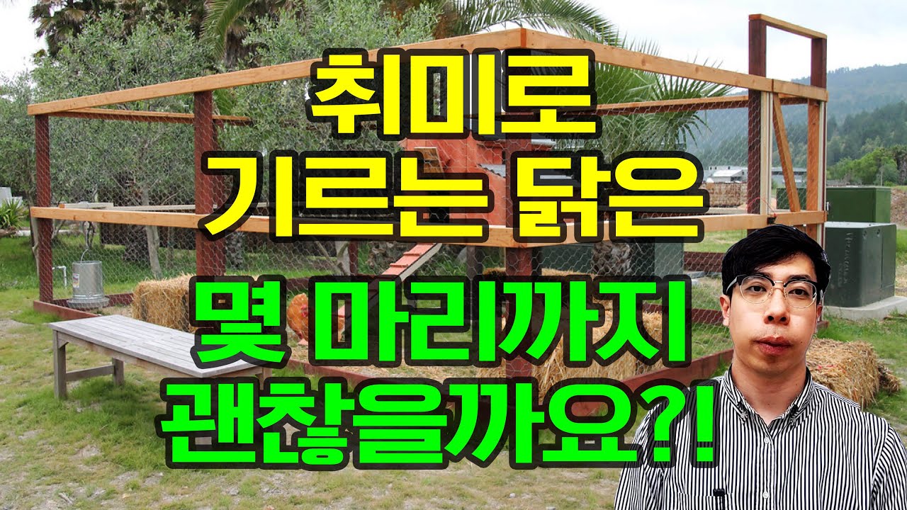 내 토지에서 취미로 기르는 닭은 몇 마리까지 키울 수 있을까요?