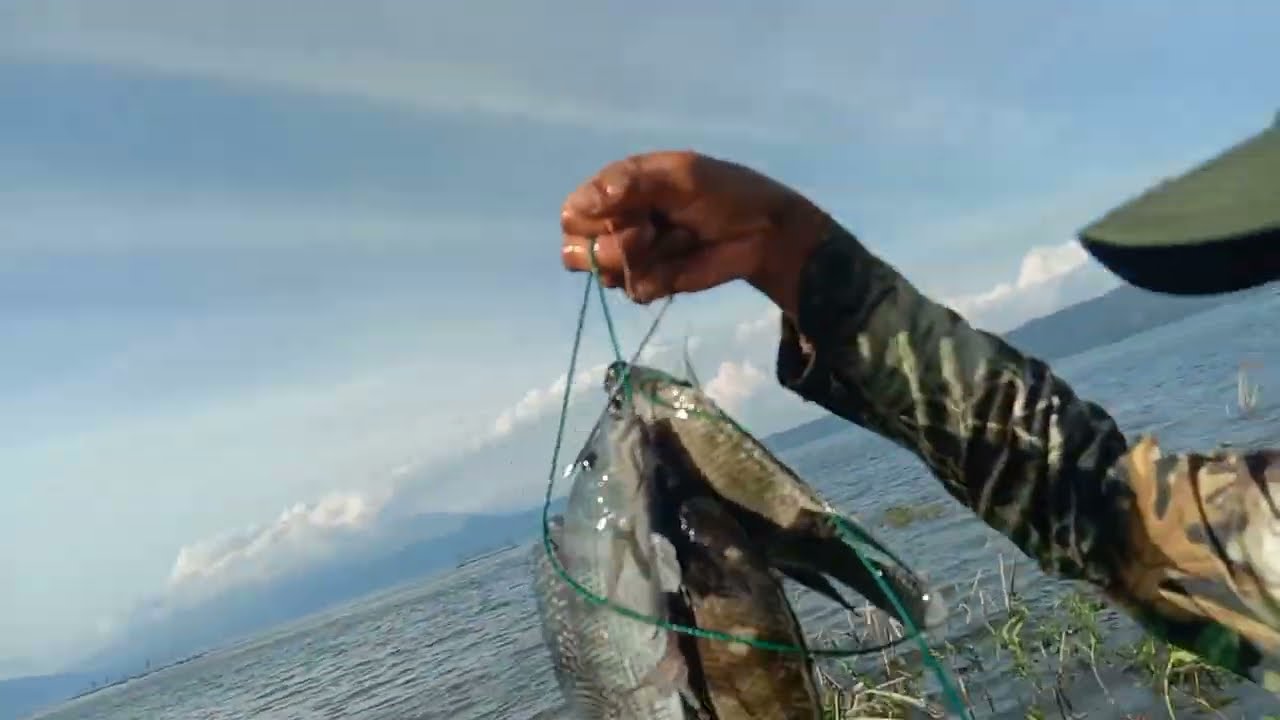 paser ikan nila spot danau singkarak