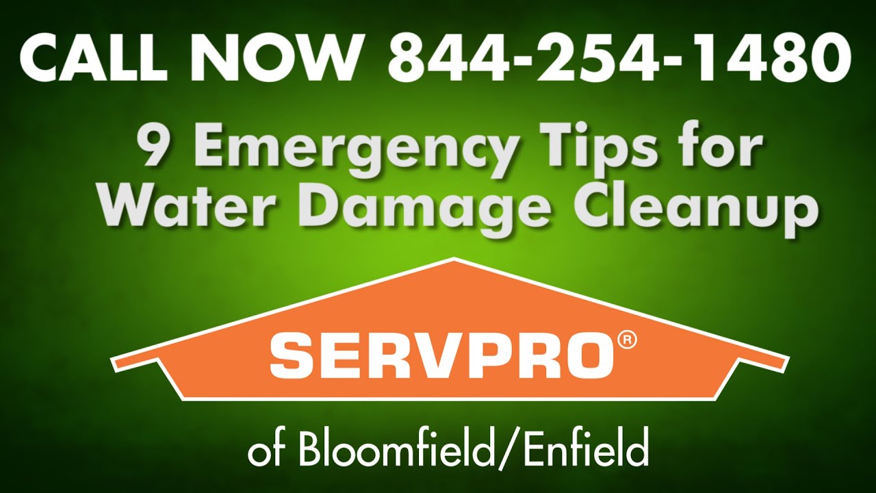 Water Damage Cleanup 9 Emergency Tips SERVPRO | Flood Clean up Basement Flooding Storm Restoration