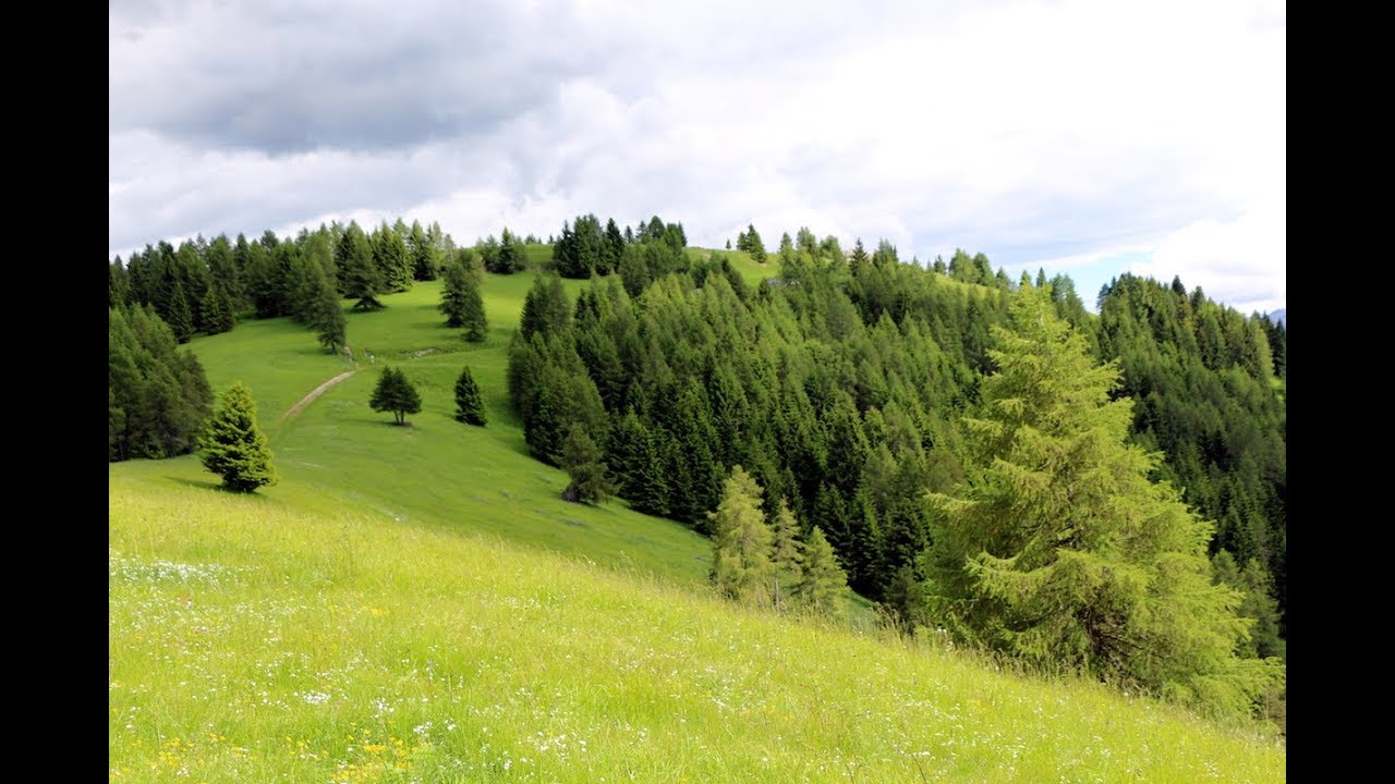 ALPE CIMBRA, l'estate, il paesaggio e la bike