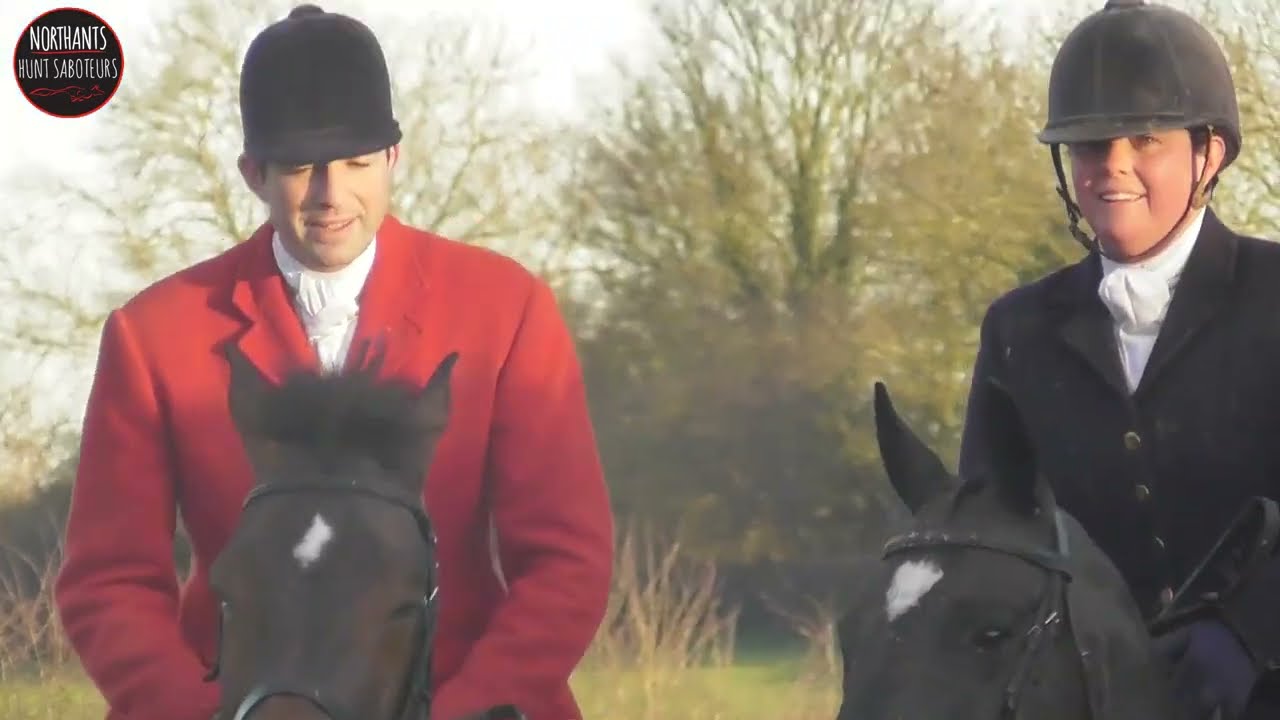 Cottesmore chase fox in Gunby 16th December 2023