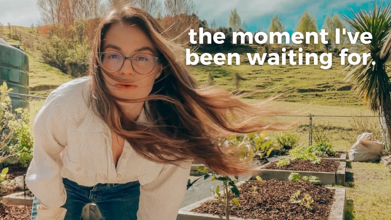 IT'S FINALLY HAPPENING | Building My Dream No Dig Vegetable Garden
