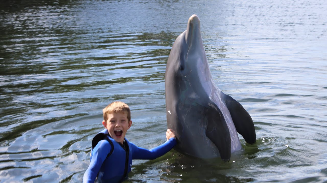 Boone’s Dolphin experience at Dolphins Plus in Key Largo Florida