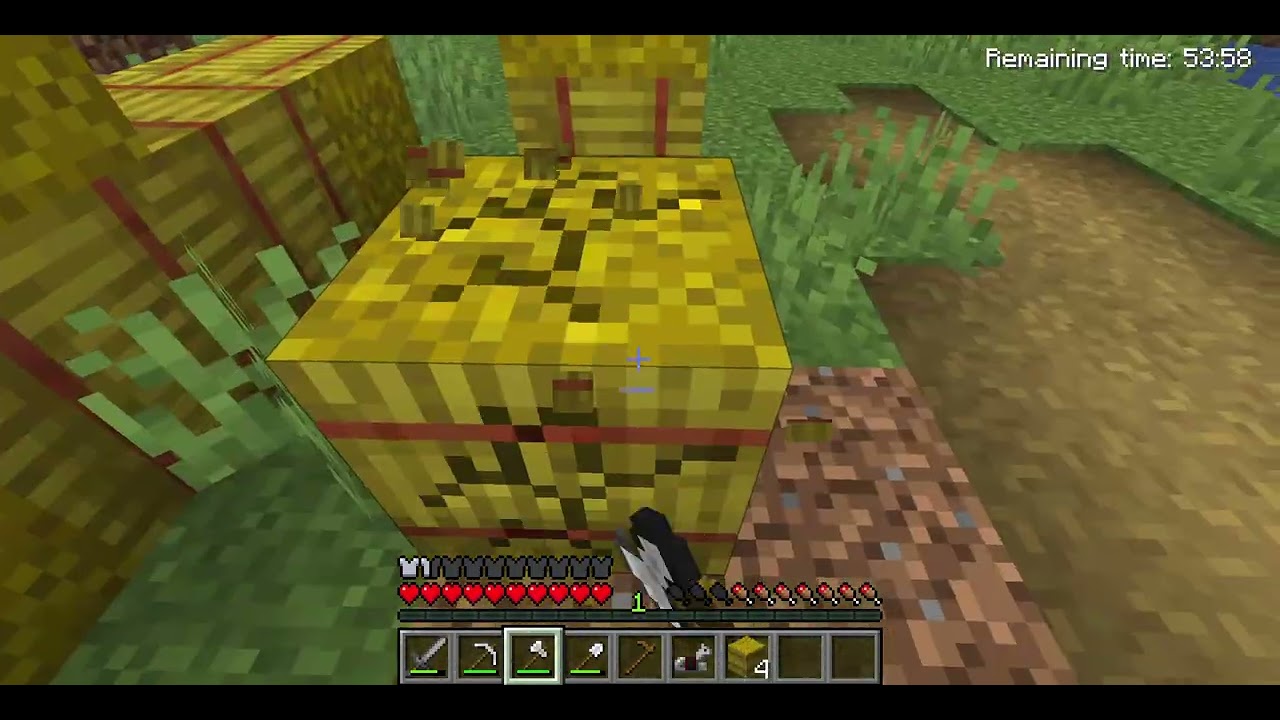 Minecraft 1 21 11   Singleplayer 2026 02 09 20 16 46