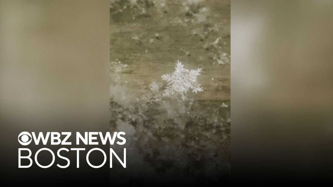 Stunning dendrite snowflakes seen on video in Maine