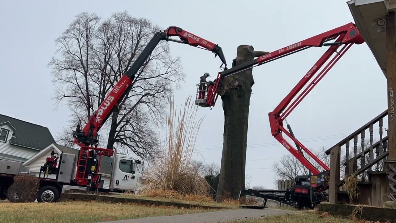NEW Fassi 600 grapplesaw crane (3rd largest pin oak in Nebraska)