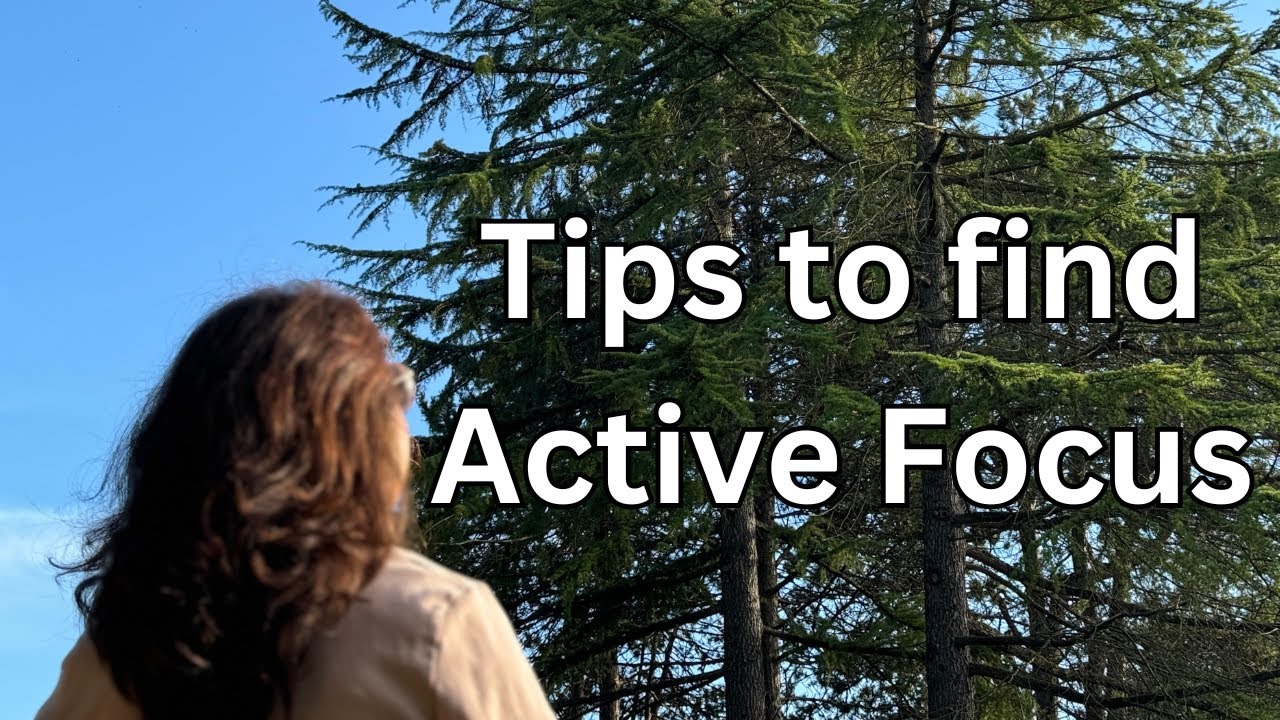 How to Find Active Focus | Endmyopia Student