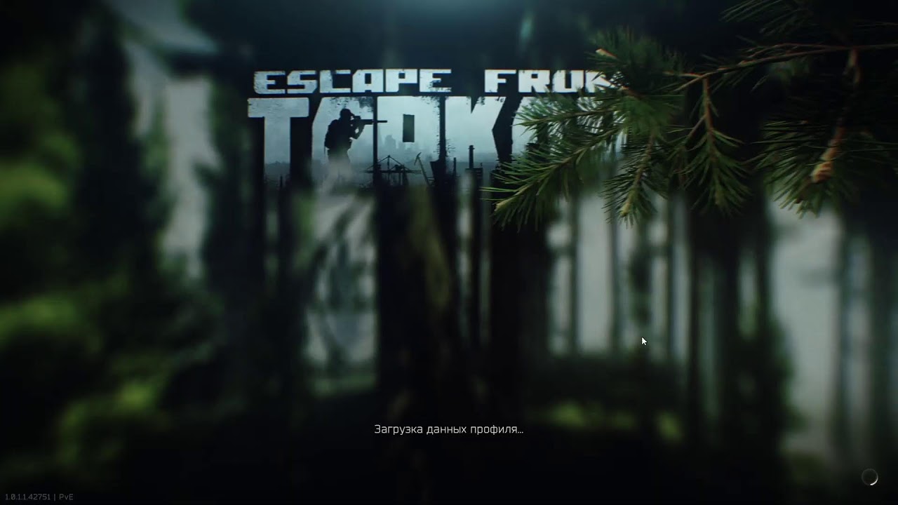 🕹️Escape from Tarkov🎮  Почти без Смертей в PVe , БЕз Багов ! Играю с подписчиками