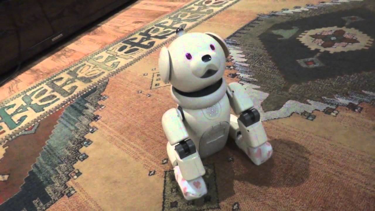 Sony Aibo... Kawaii software