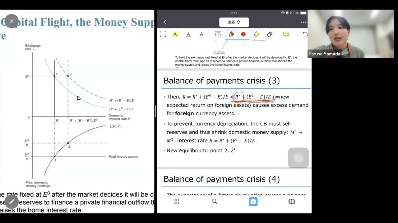 B2-02-2 Balance of payments crisis and capital flight