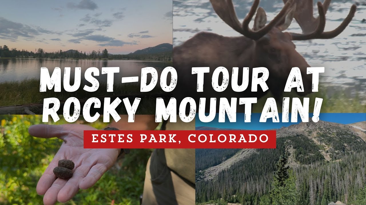 Собираетесь в национальный парк Роки-Маунтин? Попробуйте этот тур по дикой природе!
