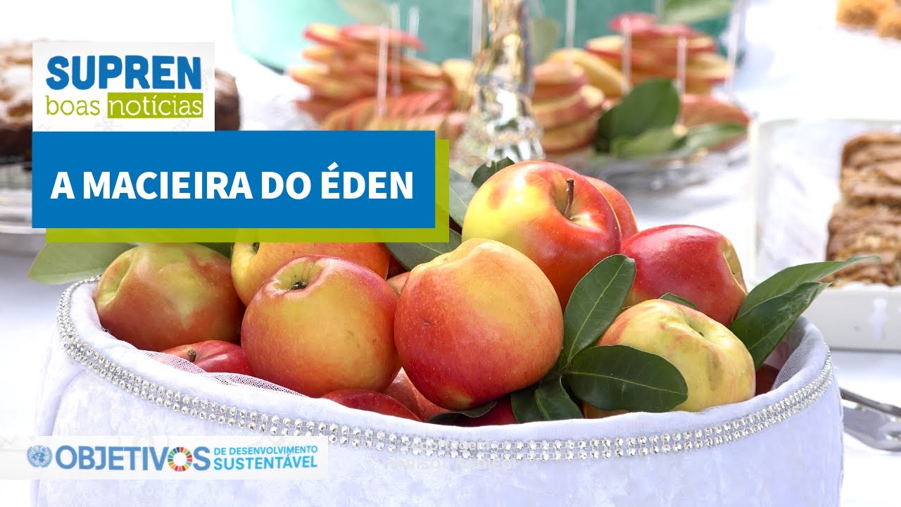 Jardim Botânico de Brasília recebe mudas de maçãs cazaques