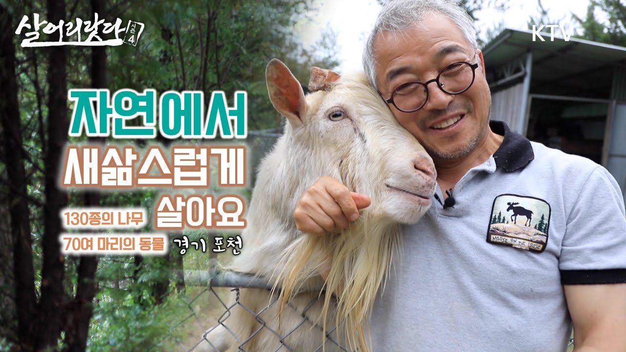 (경기 포천) 70여 마리 반려동물(개, 칠면조, 길고양이, 닭 등) 대가족과 힐링 어떠세요? ktv, korea tv, second life, healing (시즌4)