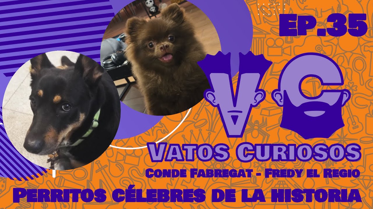 Vatos Curiosos Ep. 35 Perritos célebres de la historia